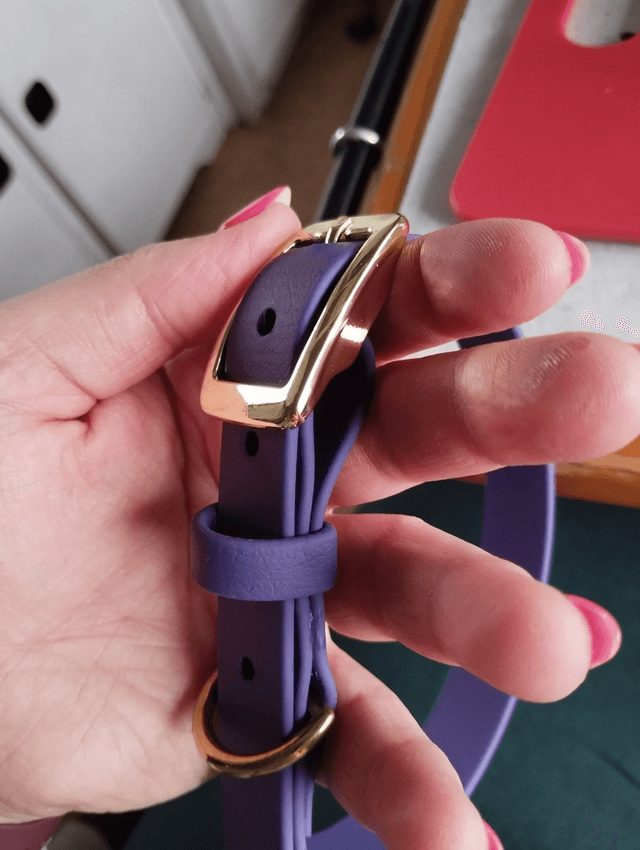 Collier Biothane (19mm) personnalisable