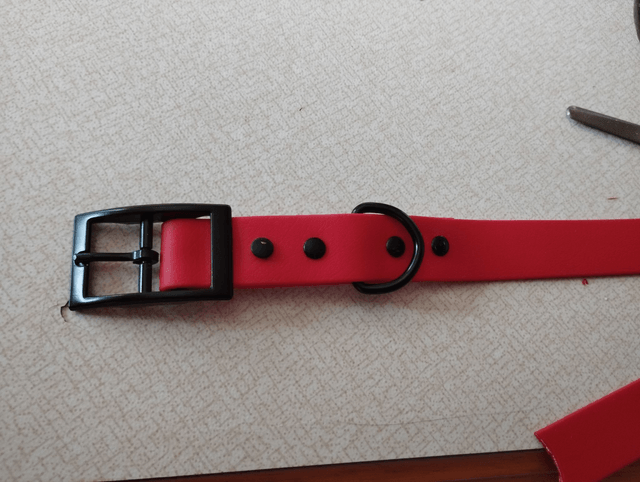 Collier Biothane (19mm) personnalisable