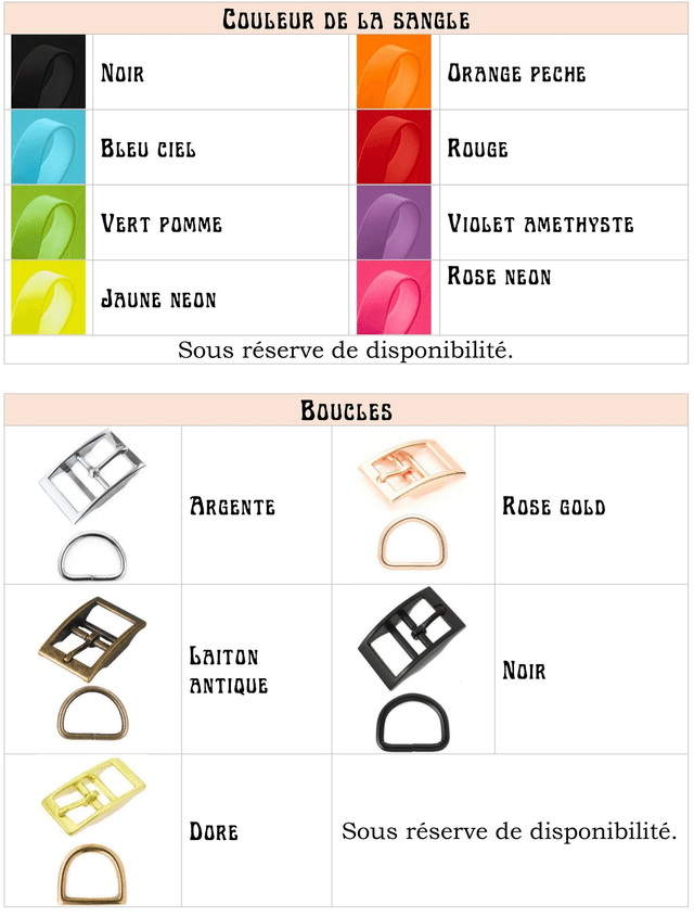 Ensemble collier + laisse Biothane