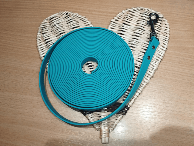 Longe Biothane personnalisable (16mm)