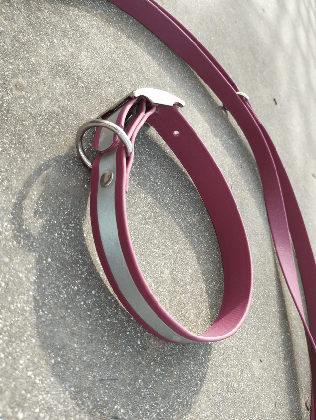 Collier Biothane (25mm) réfléchissant personnalisable 
