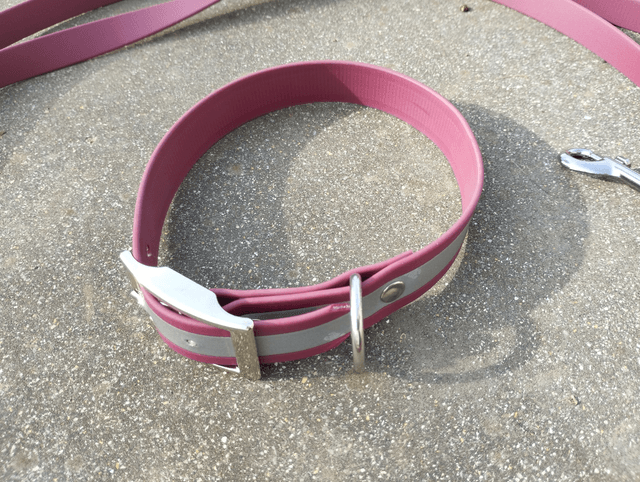 Collier Biothane (19mm) réfléchissant personnalisable