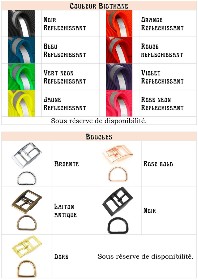 Collier Biothane (19mm) réfléchissant personnalisable