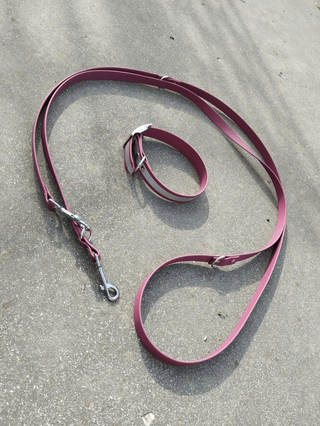 Collier Biothane (19mm) réfléchissant personnalisable