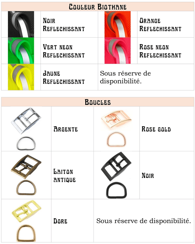 Collier Biothane (25mm) réfléchissant personnalisable 