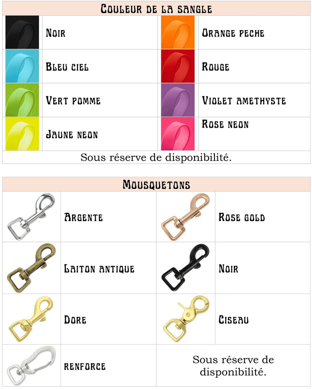 Laisse Biothane personnalisable (1,5m - 3m)