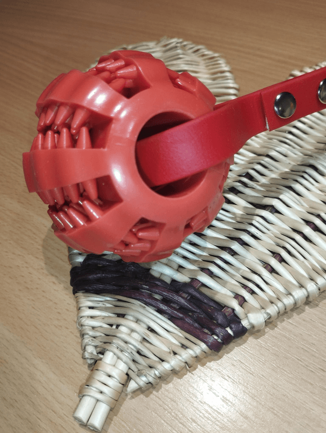 Bio'ball (balle avec poignée en Biothane)